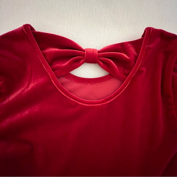Red Velour Dress - Picture 4 of 6